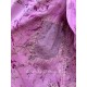 chemise Laurel in Cabbage Rose Magnolia Pearl - 36