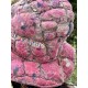 chapeau Poe in Azalea Calico