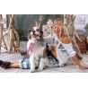 chapeau Brux in Sweetie Magnolia Pearl - 22