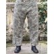 pantalon Star Applique Miner in Evangeline Magnolia Pearl - 1