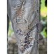 jean's Belle Le Vie Miner in Faded Indigo Magnolia Pearl - 26