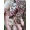 foulard Handkerchief in Chocolate Poppy Magnolia Pearl - 12