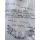 T-shirt Stay Bewildered in True Magnolia Pearl - 10