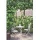 magazine Jeanne d'Arc Living – FR May 2018 Déco & Revues JDL - 3