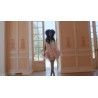 robe Baby Antoinette Peignoir Parfait Poet Selkie - 6