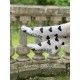chaussettes MP in Pongo