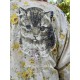 robe-veste Sipsey in Bee Charmer